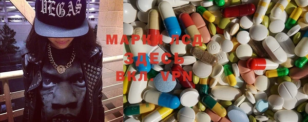 стафф Аркадак
