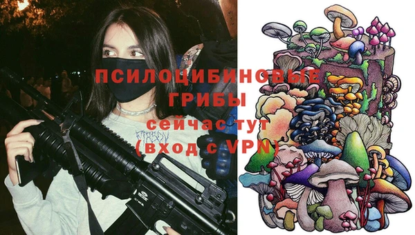 герыч Арсеньев