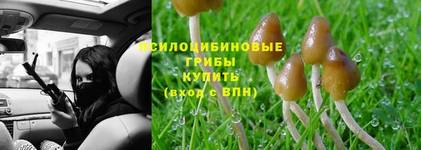 стафф Аркадак