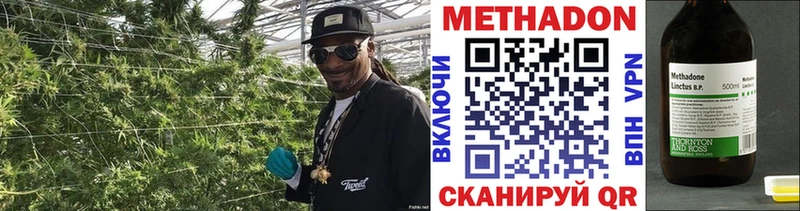 darknet телеграм  Шенкурск  МЕТАДОН мёд 